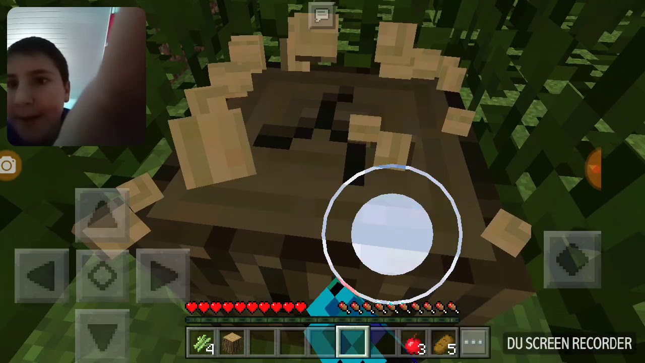 Minecraft:sobrevivendo com Guigamer craft
