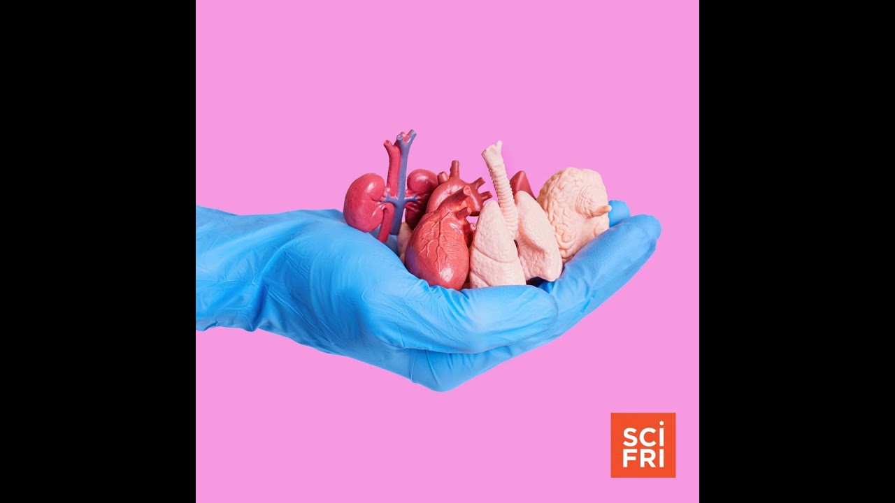 The Science Of Replacing Body Parts, From Hair To Hearts