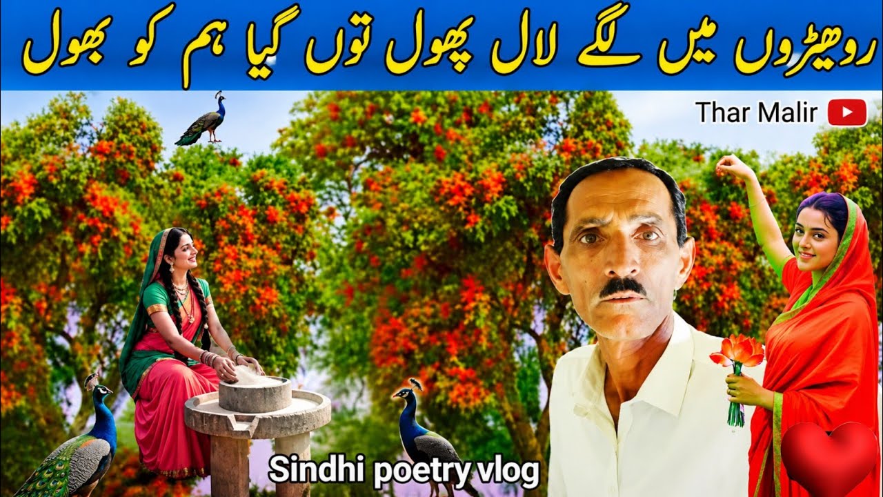 The Most Beautiful Tree of Thar Desert |Desert Teak | Roherin Ghlya Gul Rita Ry 🏝️| TharMalir.