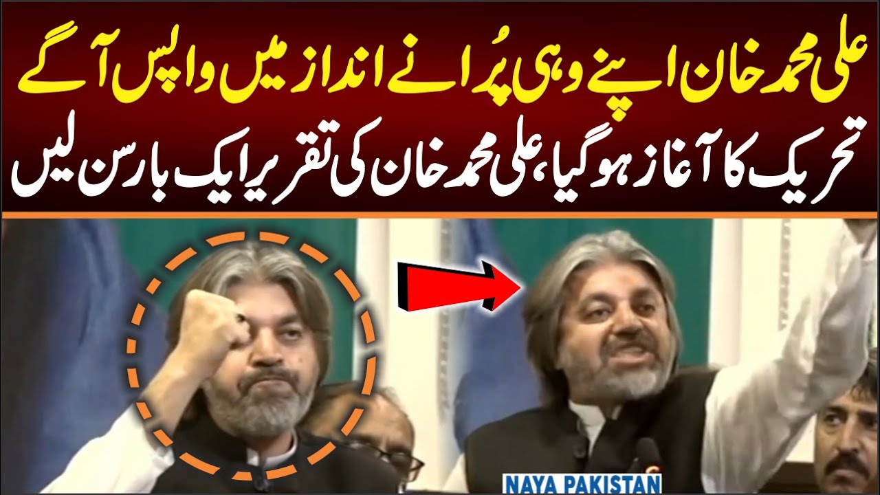 علی محمد خان اپنے وہی پرانےانداز میں واپس آگے،تحریک کاآغاز ہوگیاسیمینار۔پارٹی کےغداروں کوبھی پیغام