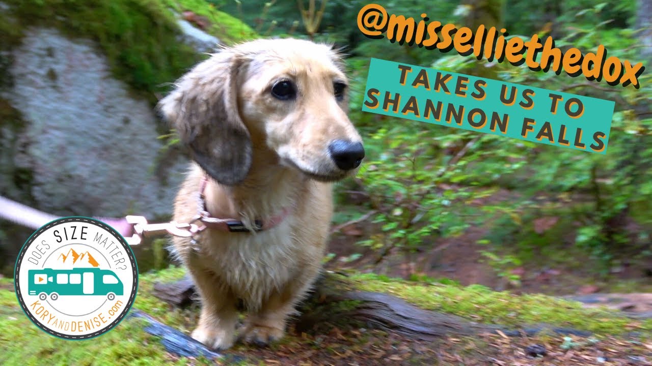 Exploring Squamish BC and Shannon Falls