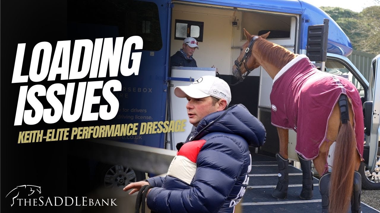 How to Load a Young or Nervous Horse onto a Lorry