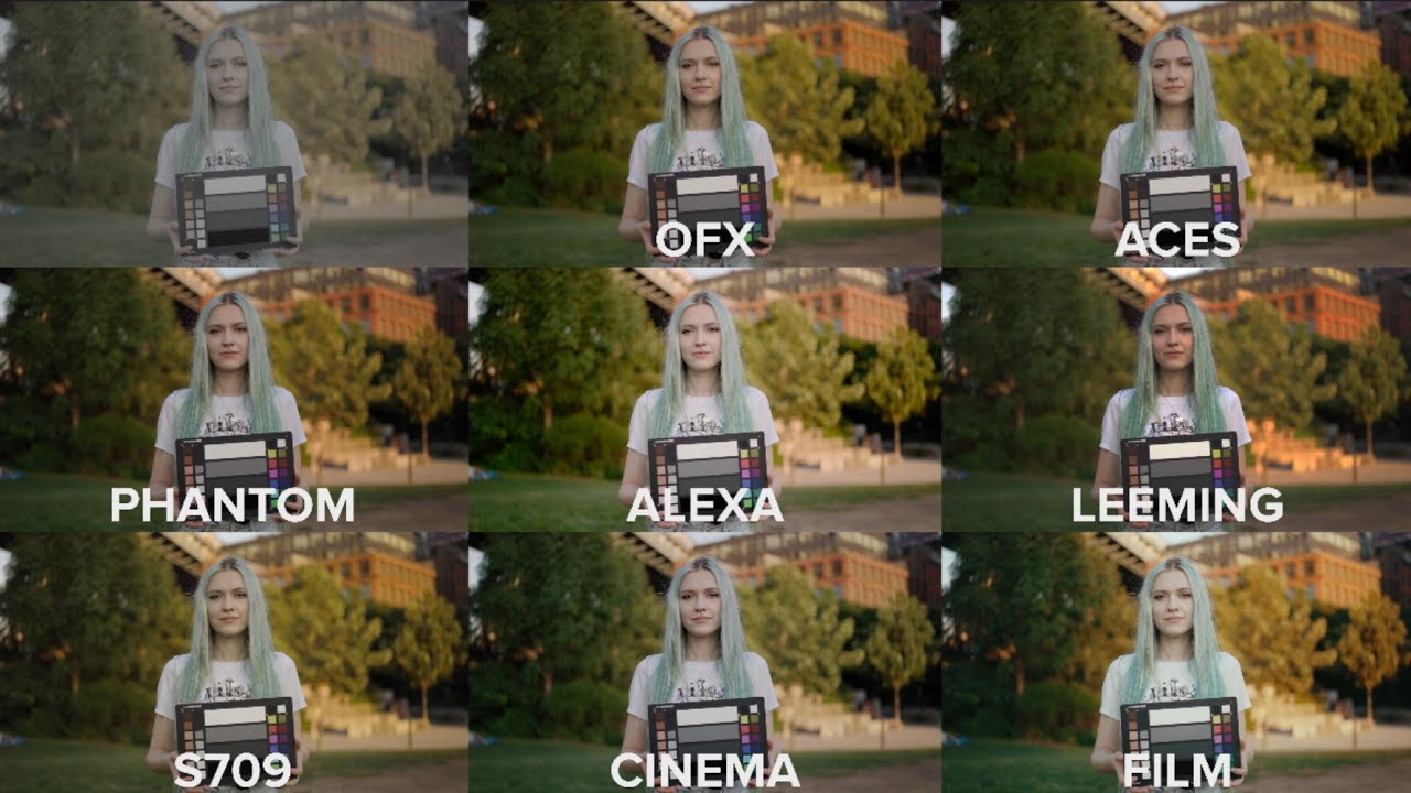 Best Slog3 LUTs Compared (S709, Phantom, Leeming, ACES, Alexa Color)
