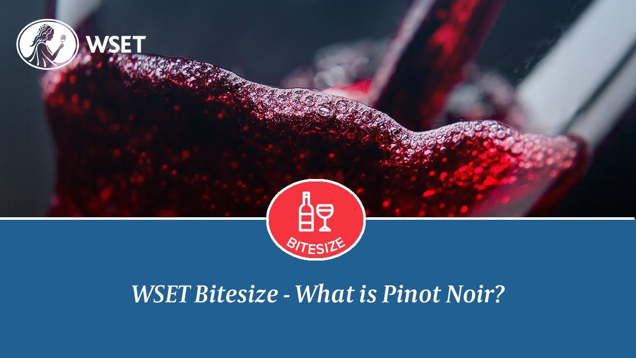 WSET Bitesize - What is Pinot Noir?