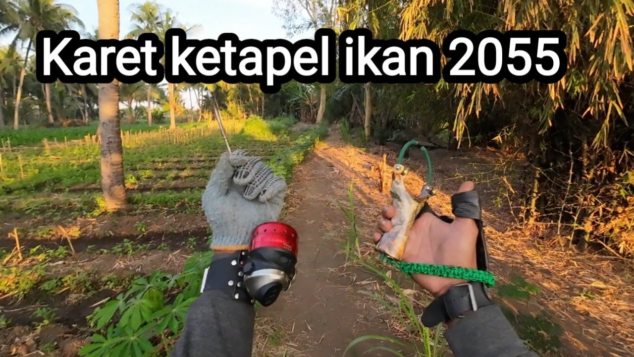 ketapel ikan|| untuk pertama kalinya menggunakan karet 2055 pada ketapel roller, || ketapel roller