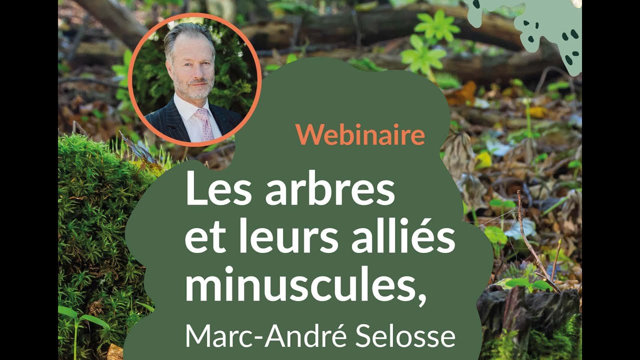 Les arbres et leurs alliés minuscules, conférence de Marc-André Selosse