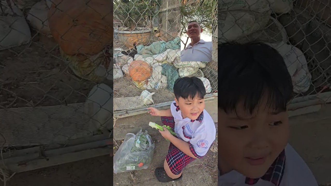 Tom và Thỏ!