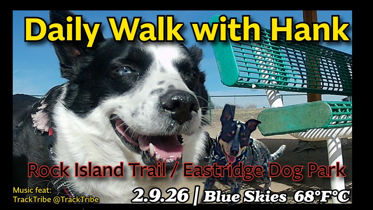 Daily Neighborhood Walk with Hank 🐾 | 2.9.26 | Sunny Skies & Dog Park Friends