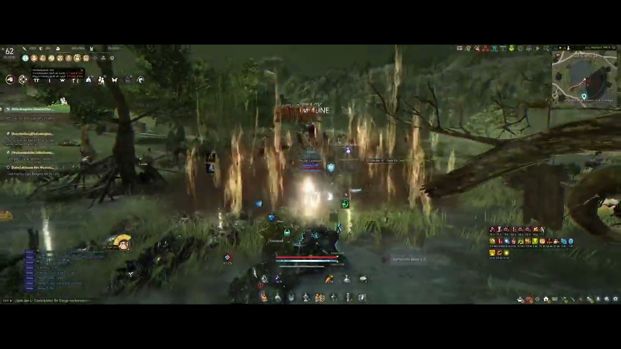 Black Desert Online - 1h Grind - Elvia Swamp Fogans - Awakening Witch - 344 AP / 402 DP