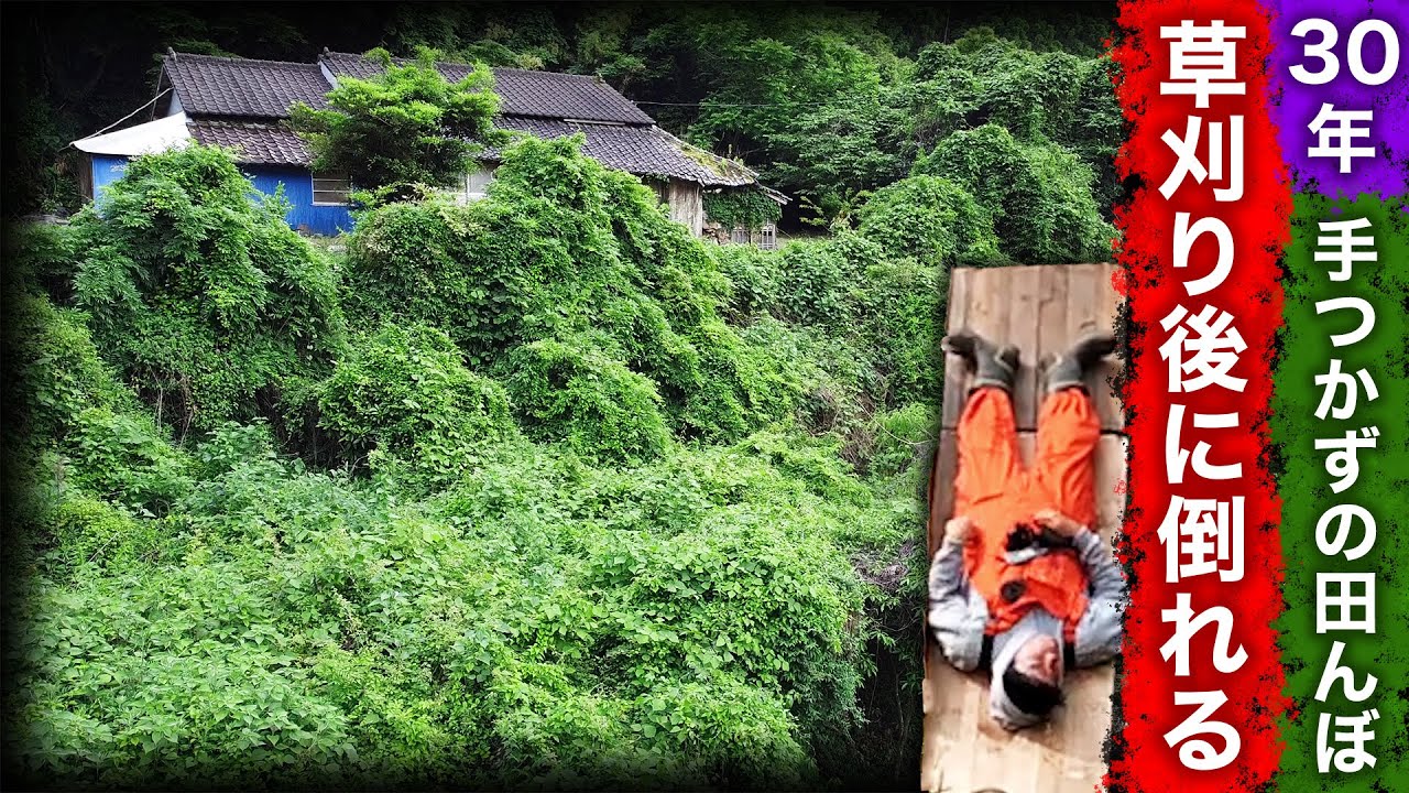 【熱中症？】30年手つかずの田んぼの草刈り後に倒れる【限界集落で無職になる＃2】