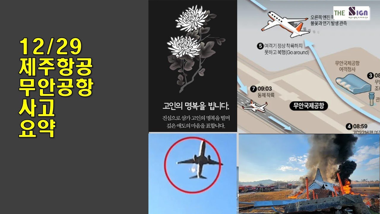 [수어][NEW] 더싸인 뉴스 2024년 12월 29일 09:03&ndash; 제주항공 무안공항 사고 수어요약  #수어 #korean sign language #sign #signs