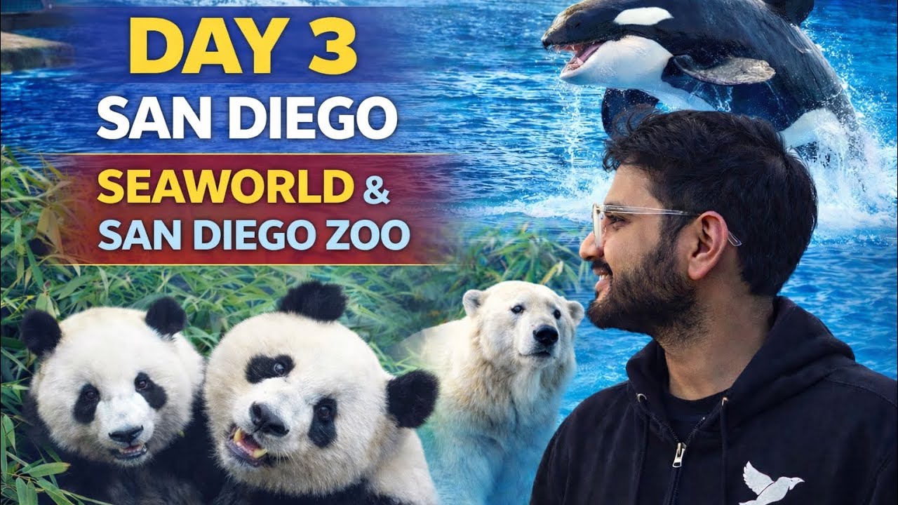 Day 3 in San Diego, California | Sea World & San Diego Zoo