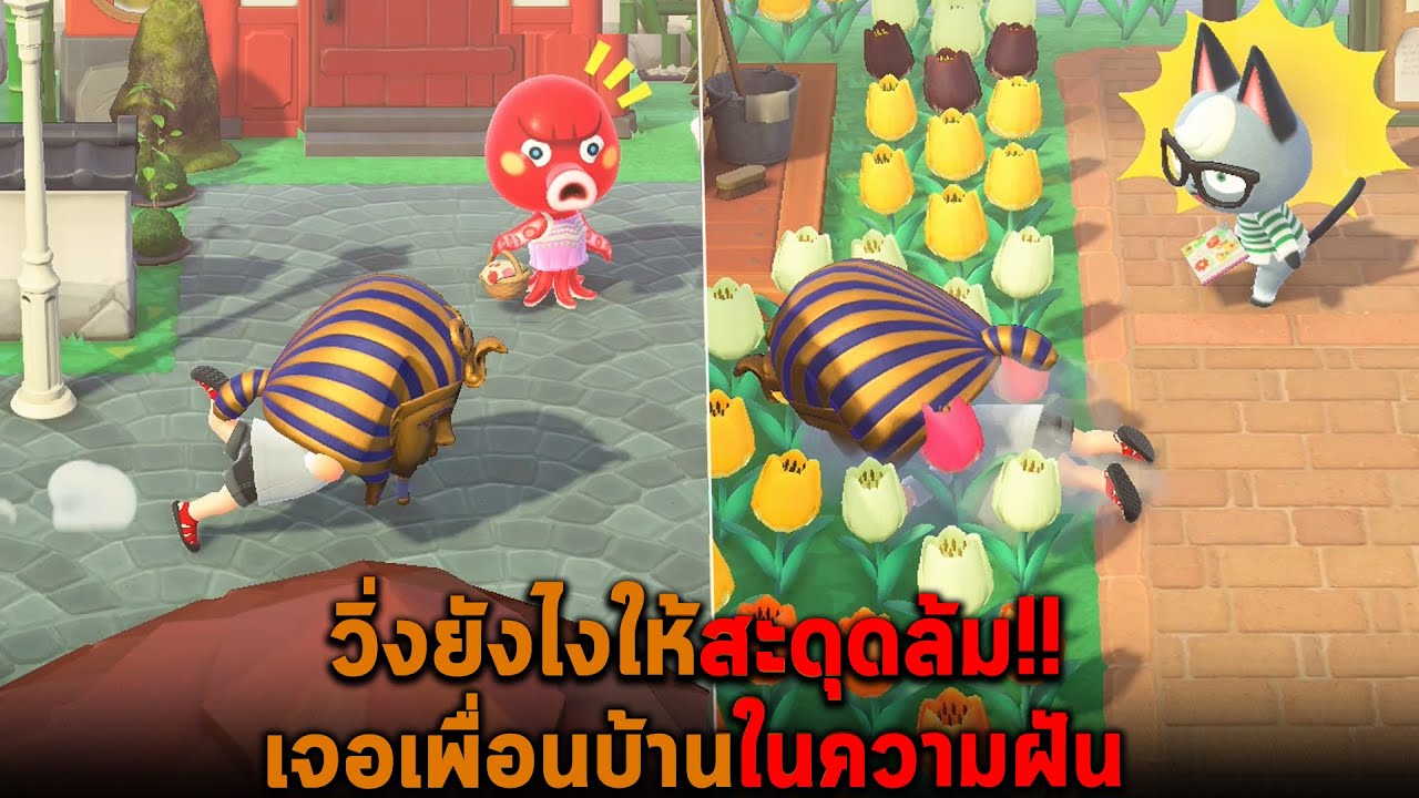 วิ่งยังไงให้สะดุดล้ม เจอเพื่อนบ้านในความฝัน Animal Crossing