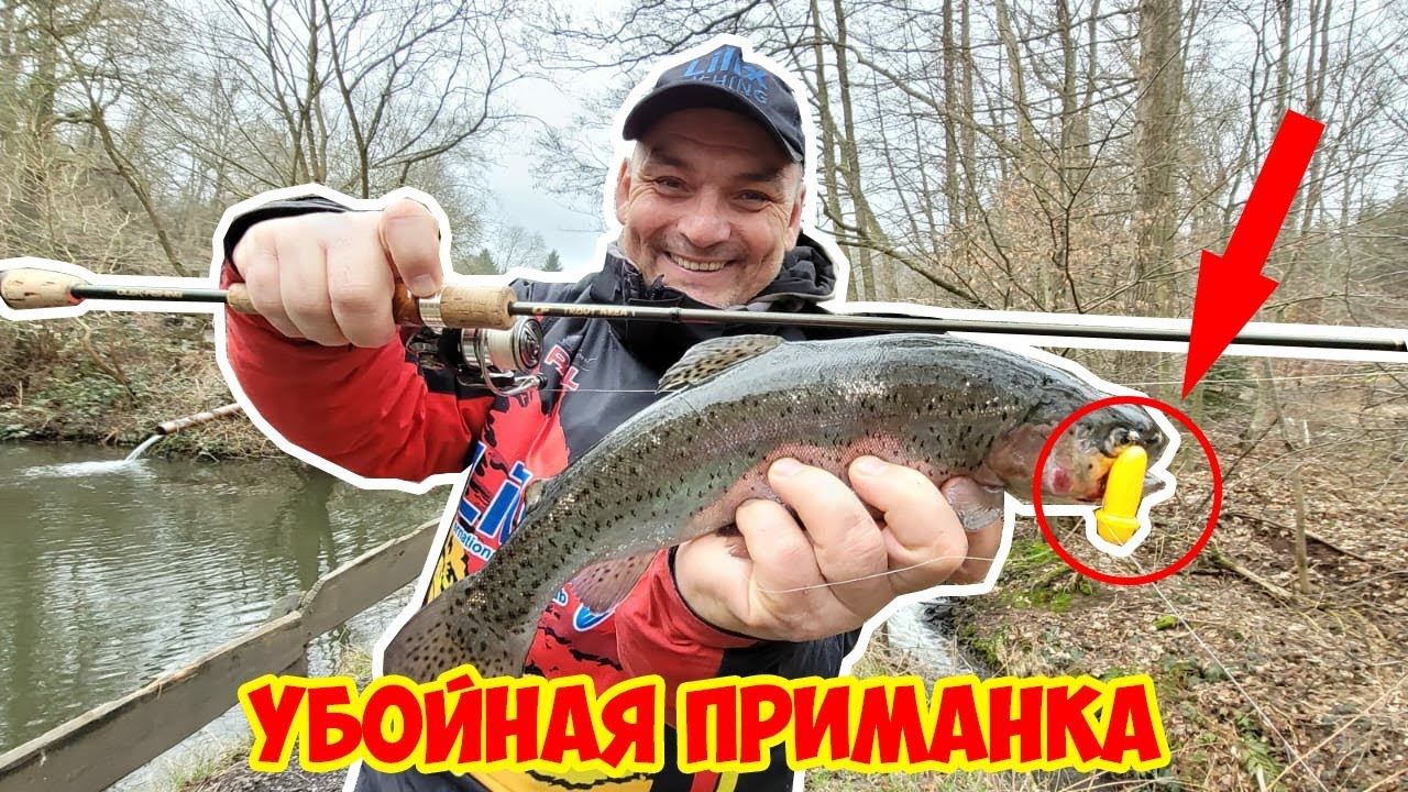 Убойная приманка. Рыбалка в Германии