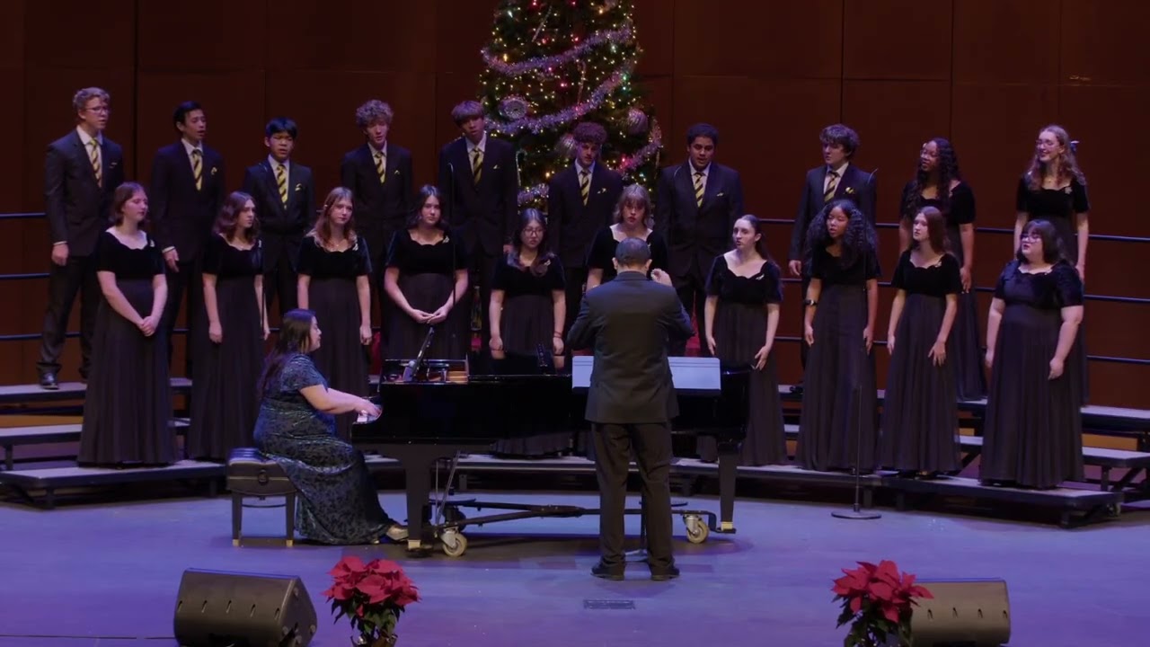 The Joy of Christmas - by Van Denman Thompson