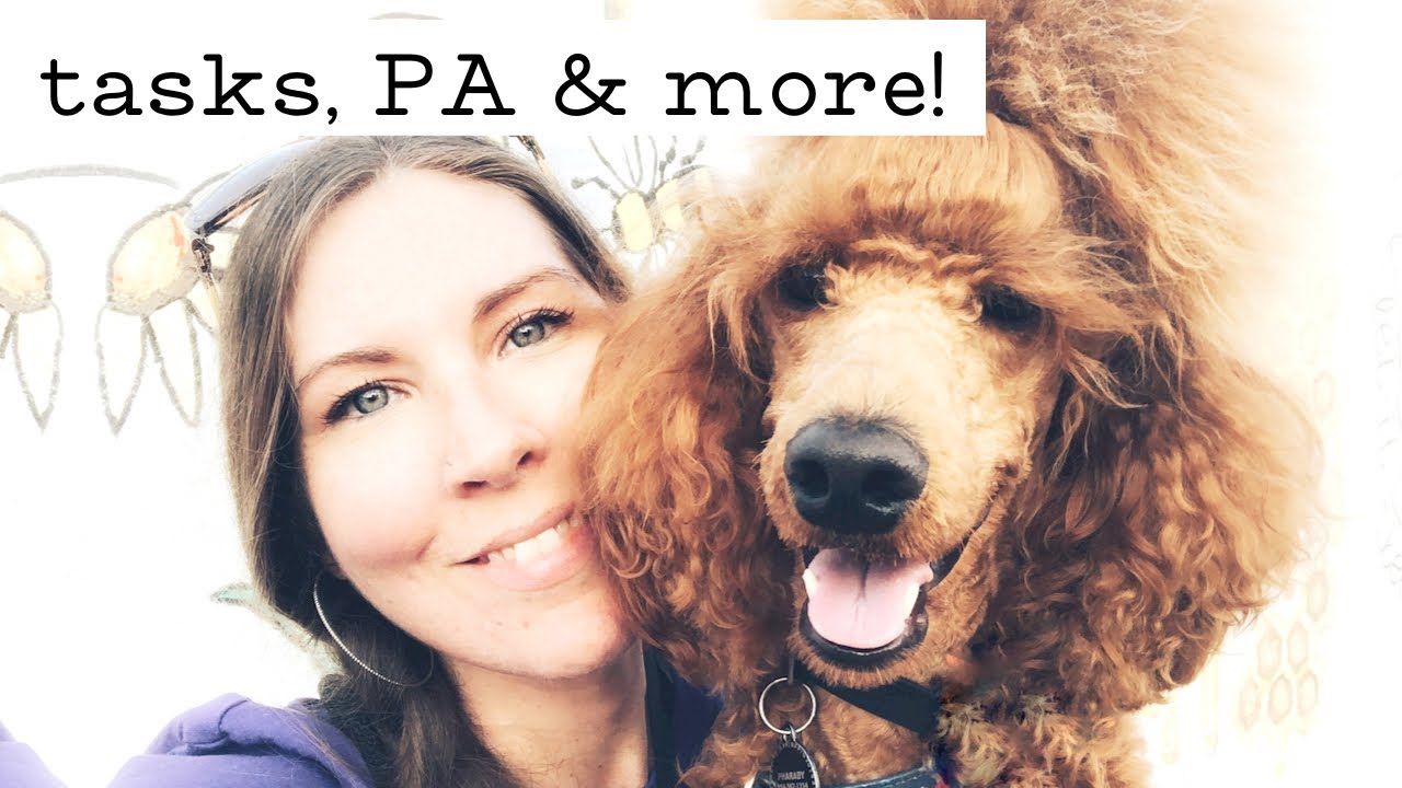 How I Log My Service Dogs Training #Servicedoghandler