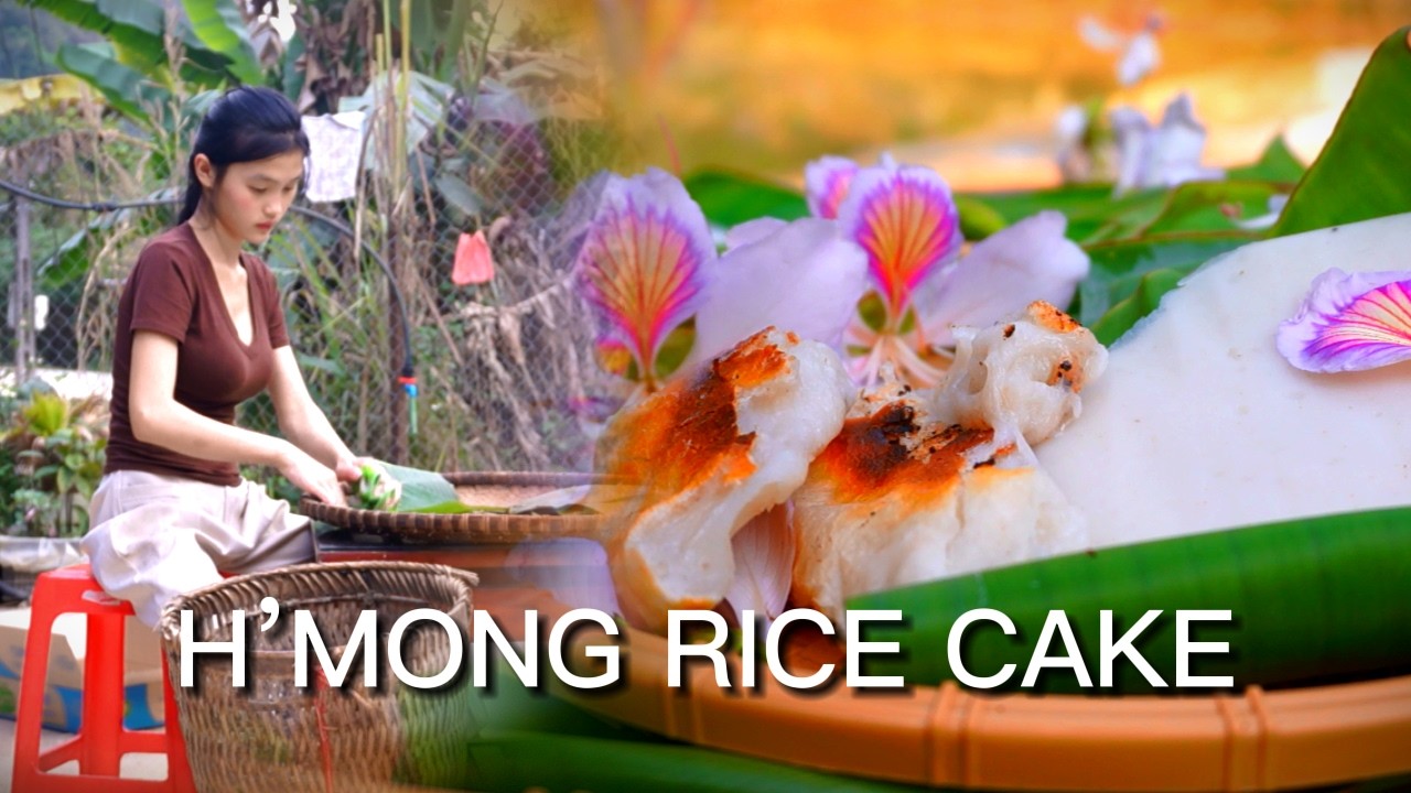 Làm bánh dày H’Mông | Traditional Hmong Rice Cake