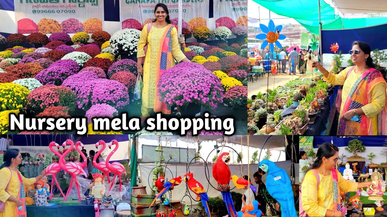 Nursery mela 2024 | nursery mela plant shopping | hyderabad nursery mela @eetharamillalu
