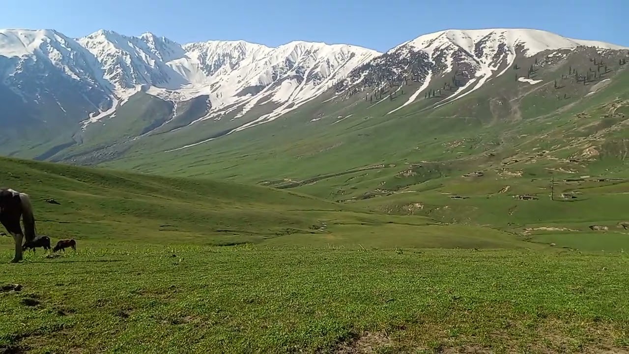 morro Meadows Palas valley Kohistan