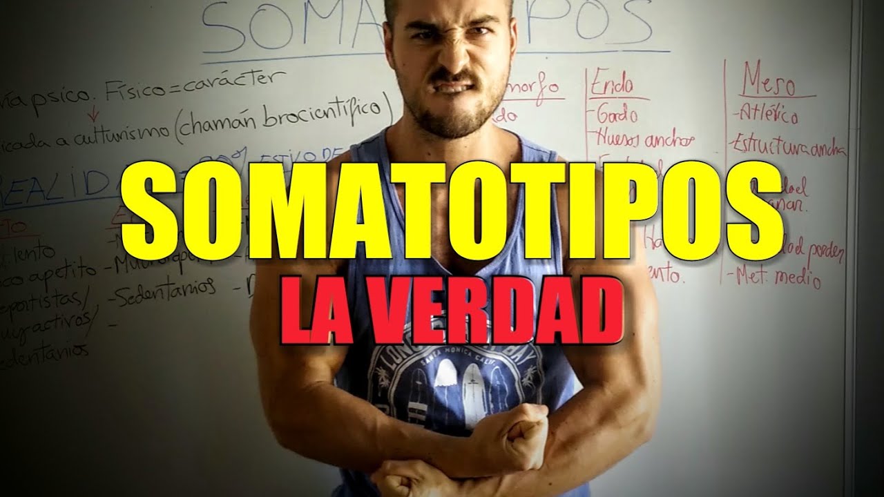 SOMATOTIPOS: MESOMORFOS, ENDOMORFOS Y ECTOMORFOS