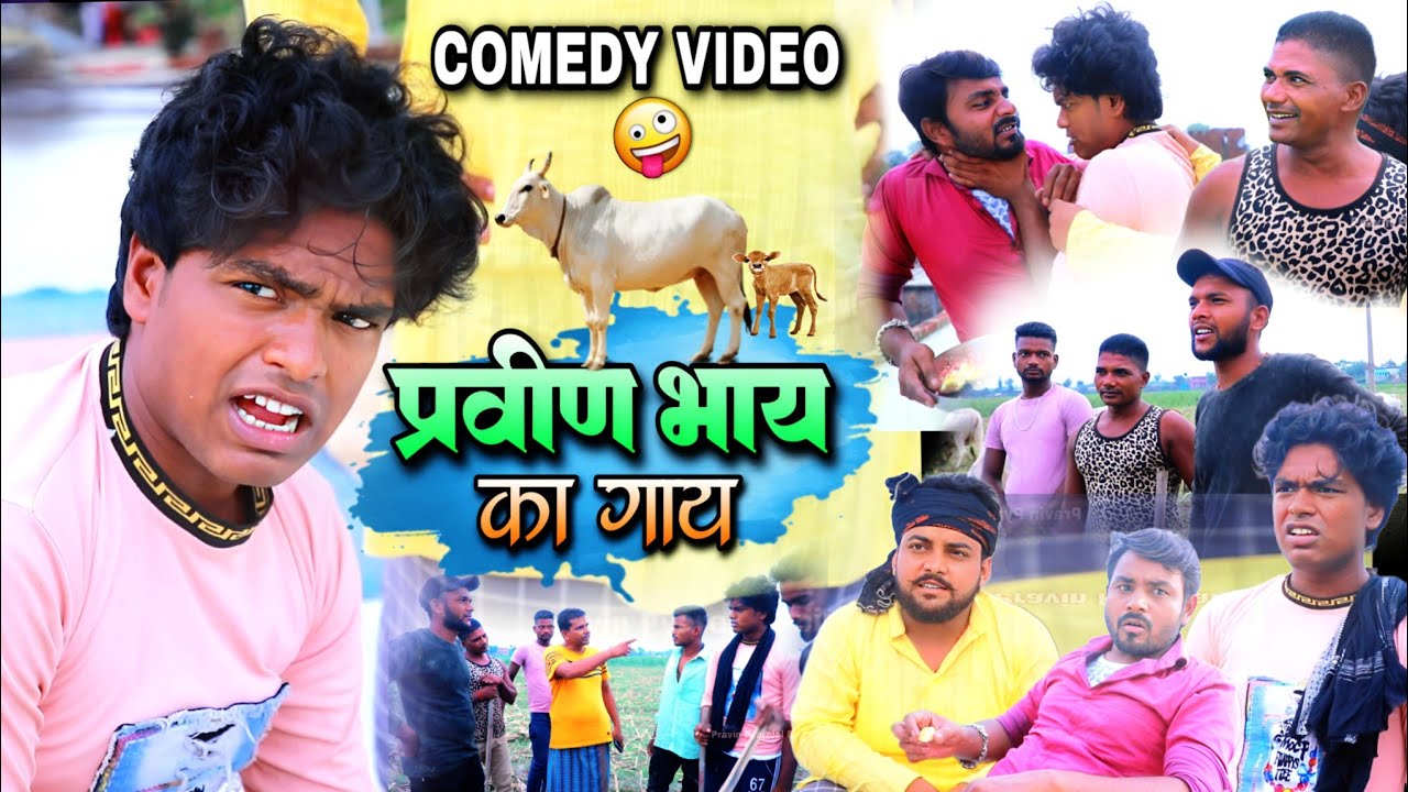 प्रवीण भाय का गाय - Pravin Bhai Ka Gay - Pravin Pyarelal Point - New comedy video