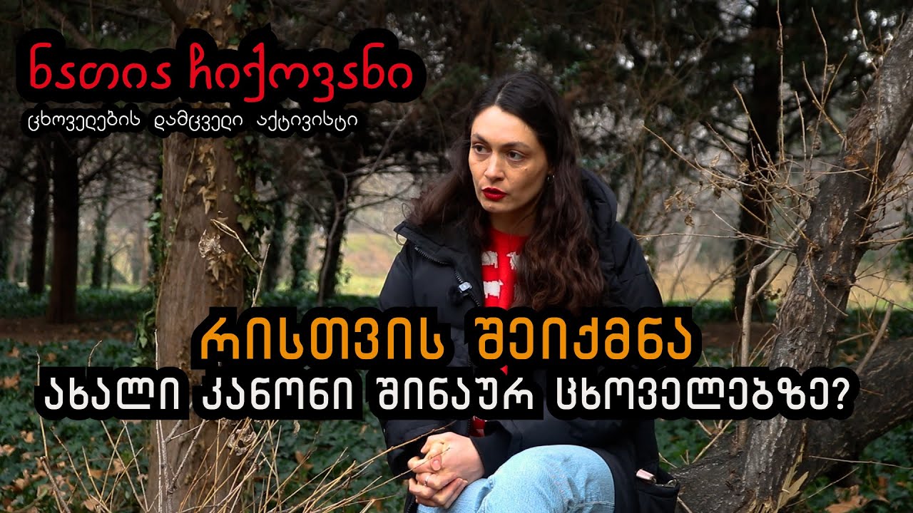 რისთვის შეიქმნა ახალი კანონი შინაურ ცხოველებზე?