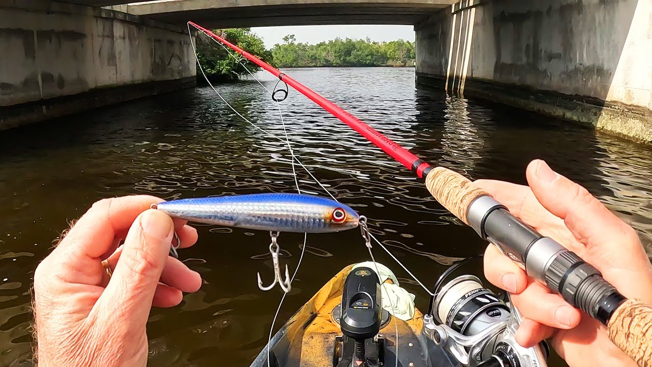Florida Topwater Trophy Hunt - Cold Weather - Big Fish!
