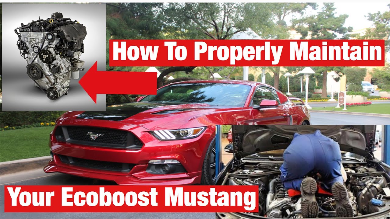 How To Properly Maintain your Ecoboost Mustang