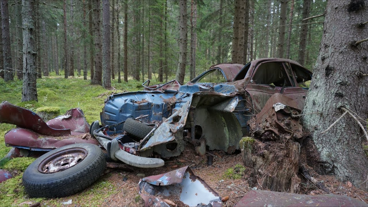 Saaben i skogen