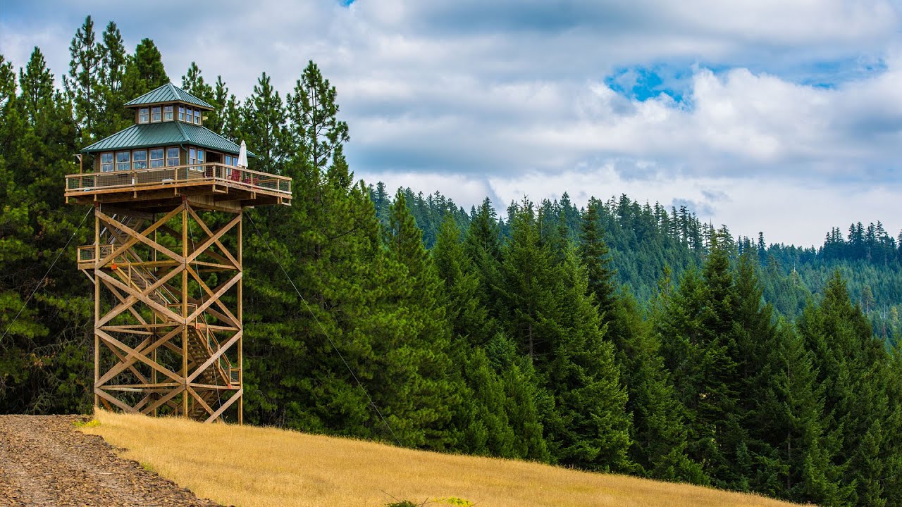 Жизнь в огне: обзор крошечного дома | Zillow