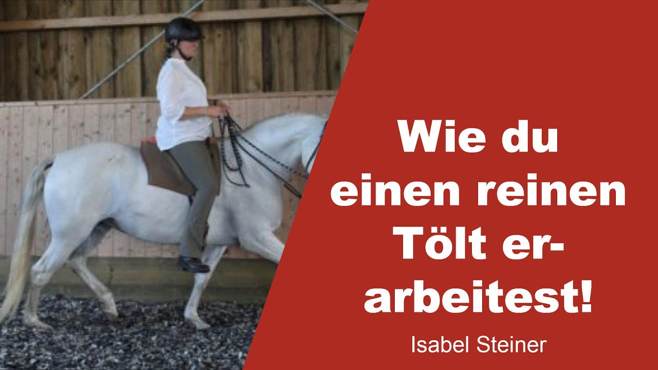 Wie du einen reinen T&ouml;lt erarbeitest! - Isabel Steiner - 1
