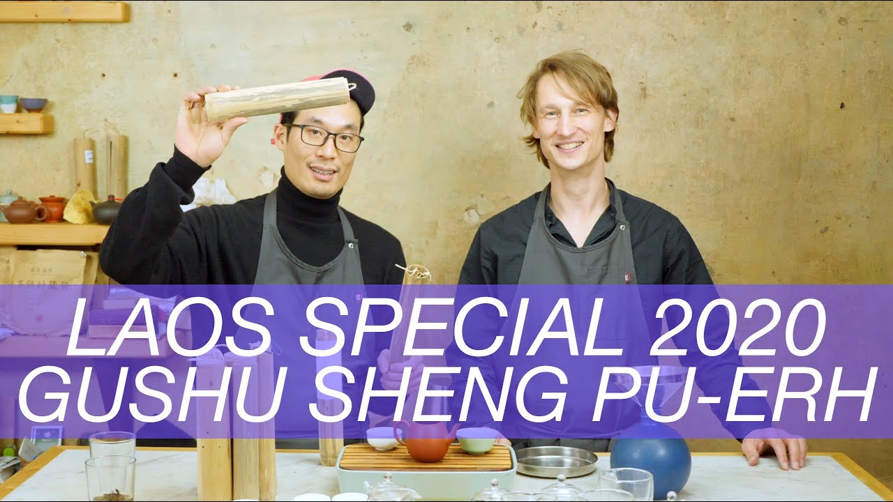 Tea Addicts 2020 - Laos Special Raw Pu Erh Phongsali