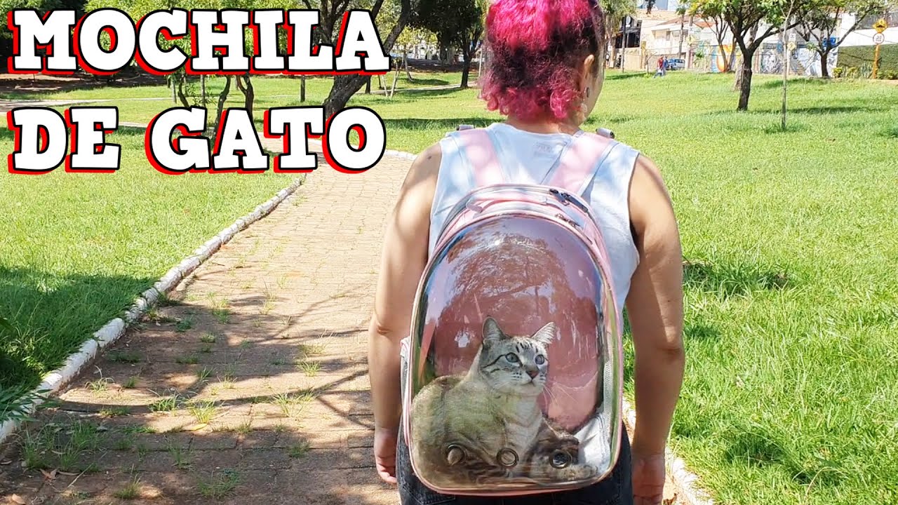 COMPRAMOS UMA MOCHILA PARA GATOS