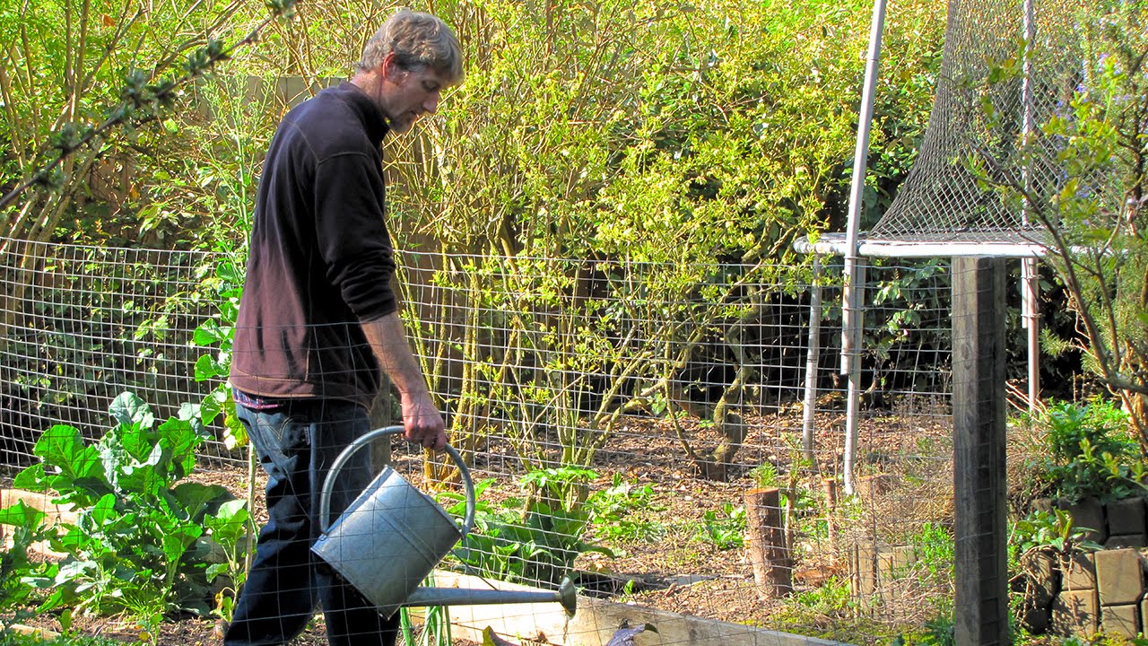 Justin Tiret's Urban Homestead: Maximizing Space for Sustainable Living