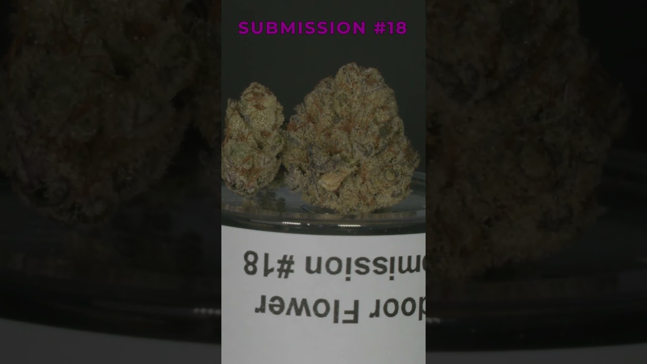 Submission #18 | Legacy Cup V Indoor Flower Competition