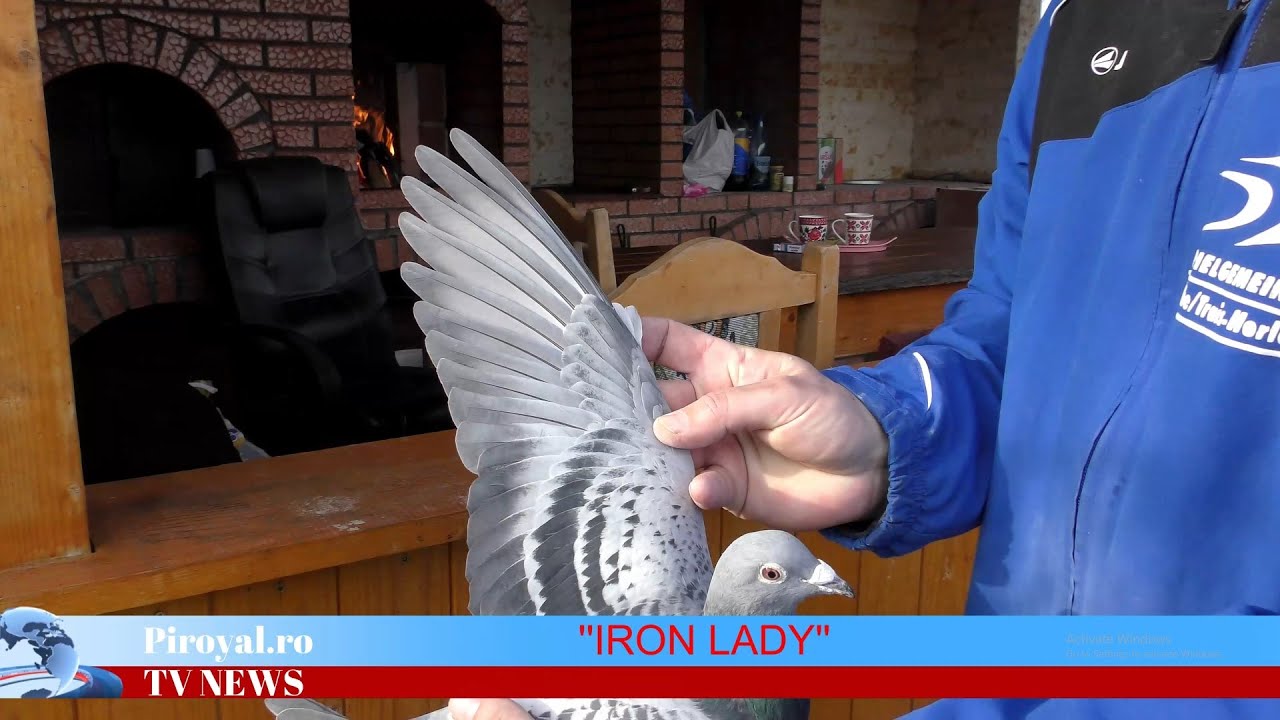 Pughiuc Cristian si Campioana Nationala, IRON LADY