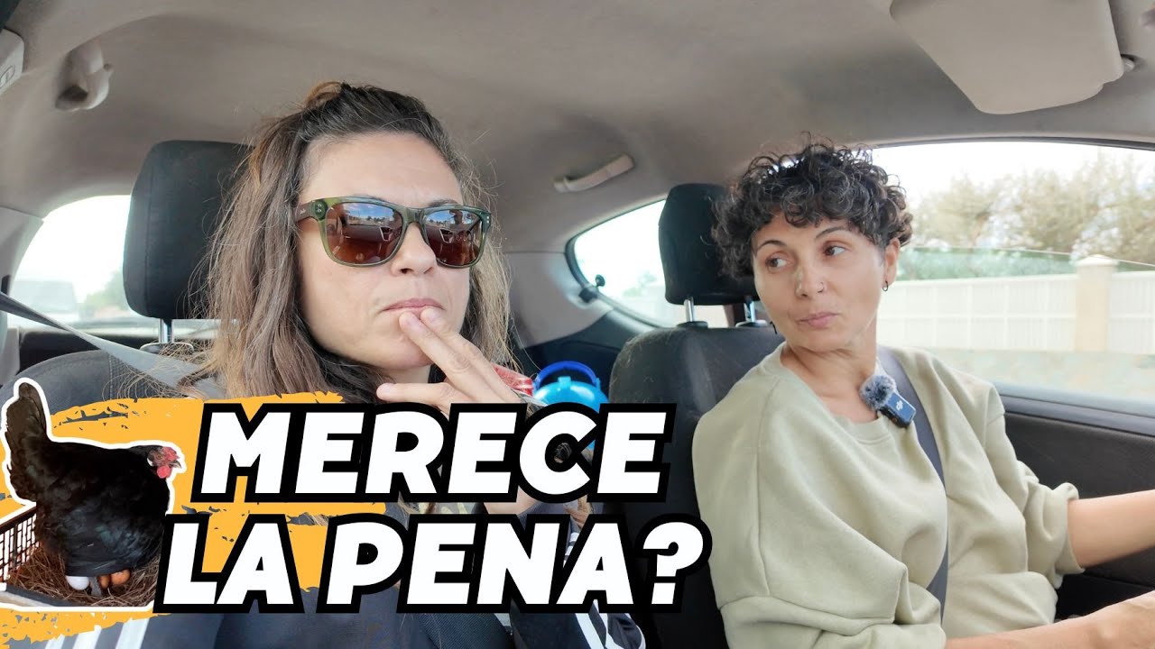 💲Esto es lo que nos gastamos teniendo gallinas, vamos de compras para la finca Vlog260