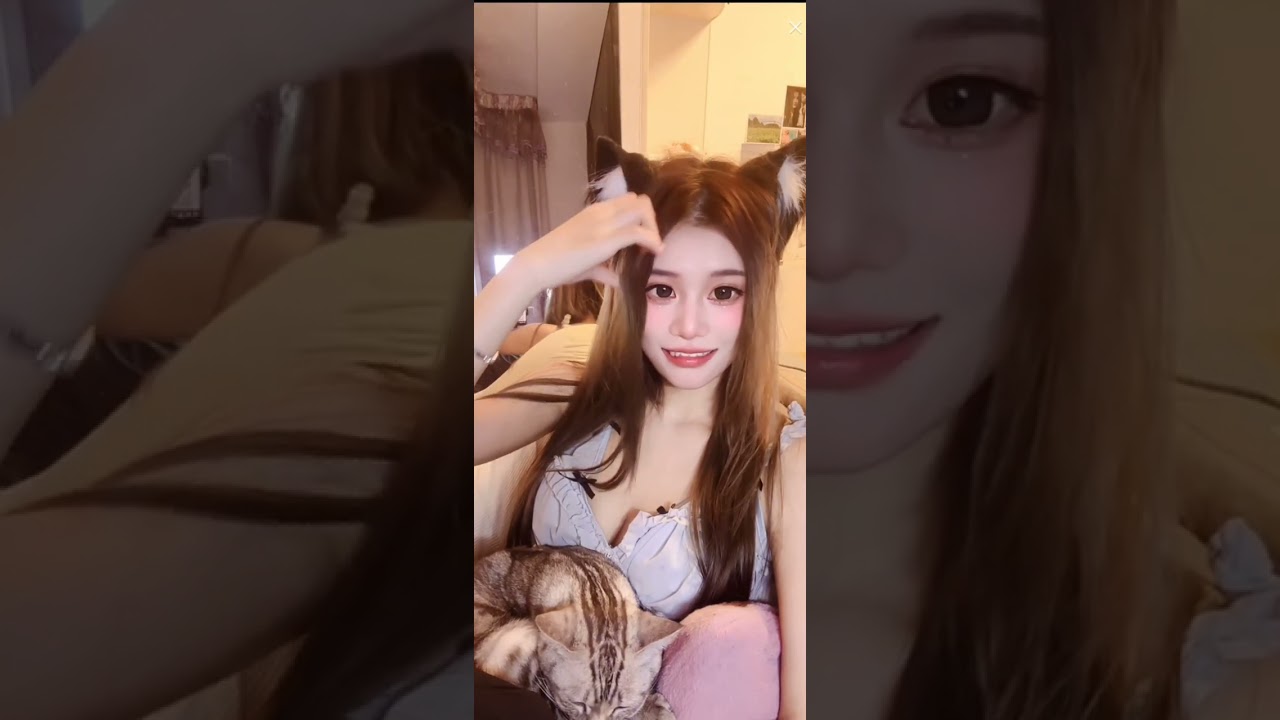 BIGO LIVE BEAUTIFUL LONELY CAT