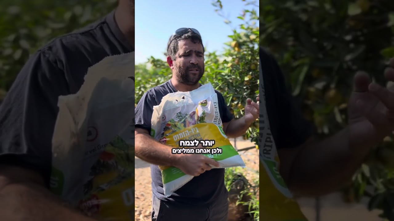 טיוב קרקע לעצי פרי ומדשאות לקראת החורף עם ביו הומוס