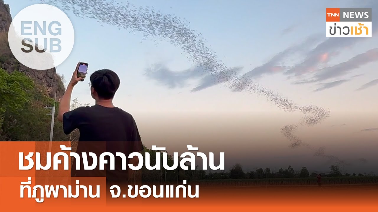 [ENGSUB] ชมค้างคาวนับล้าน ที่ภูผาม่าน จ.ขอนแก่น l TNN ข่าวเช้า l 17-03-2025