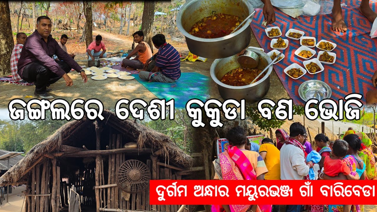 ଜଙ୍ଗଲରେ ଦେଶୀ କୁକୁଡା ବଣ ଭୋଜି 😋 l ଦୁର୍ଗମ ଅନ୍ଧାର ଗାଁ ବାରିବେଡା l Baribeda village, Mayurbhanj 