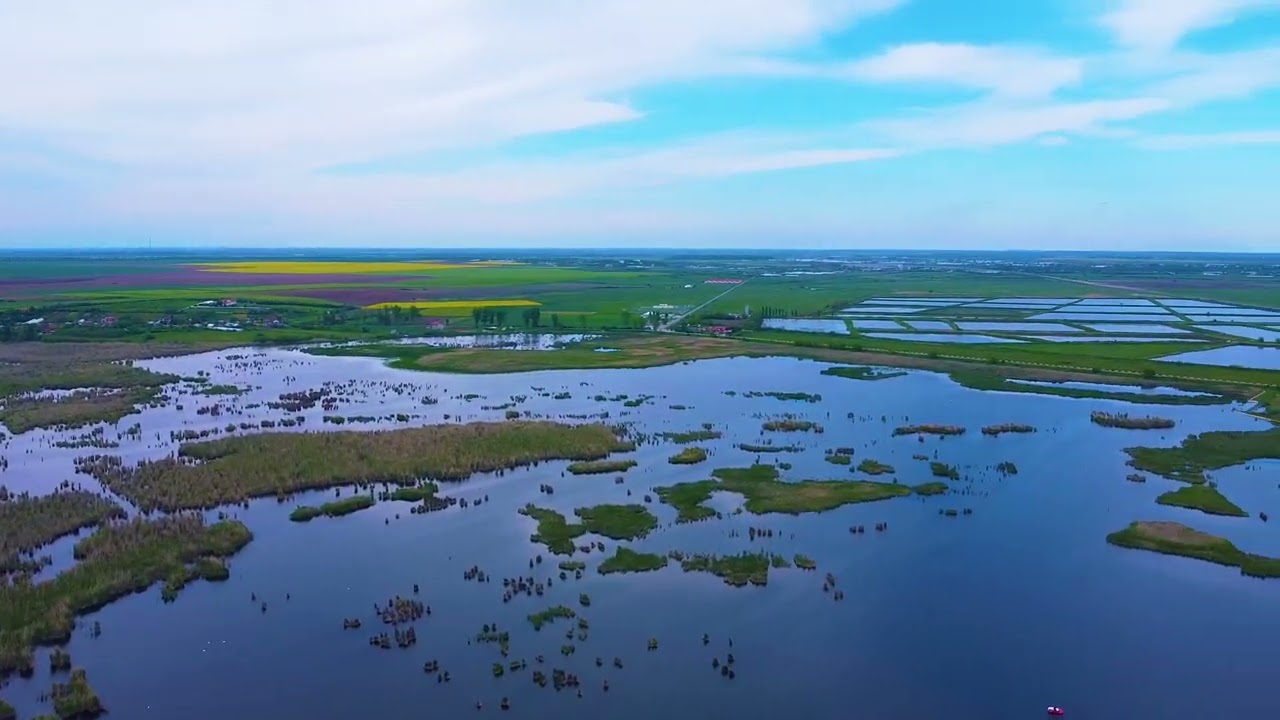Balta si Manastirea Comana  - Oaza de Natura si Istorie