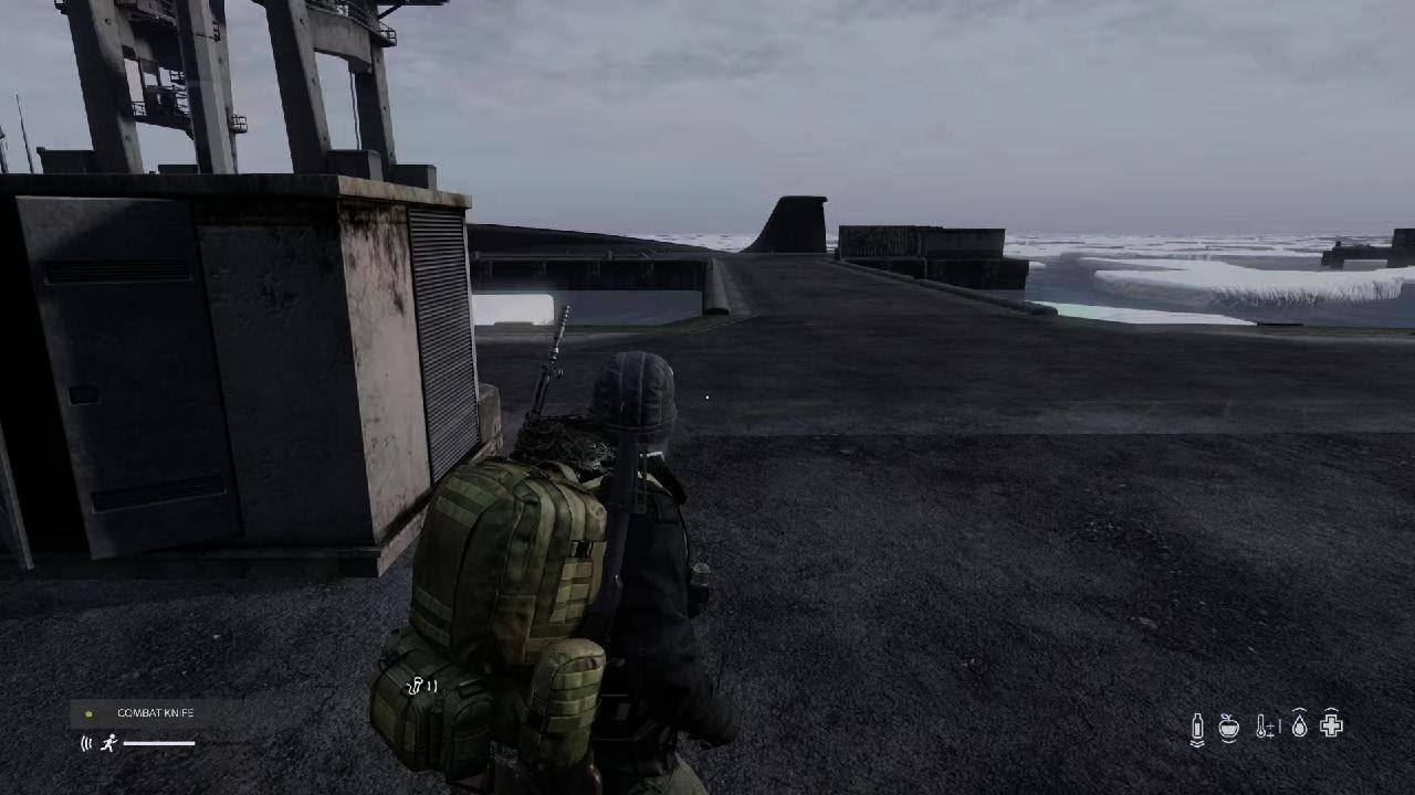DayZ_20250109065128
