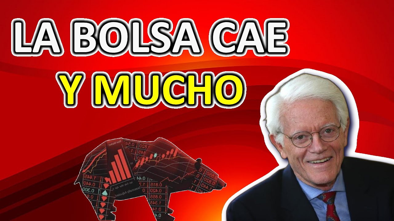 ESTA ES LA PROBABILIDAD DE QUE CAIGA LA BOLSA. Peter Lynch en español.