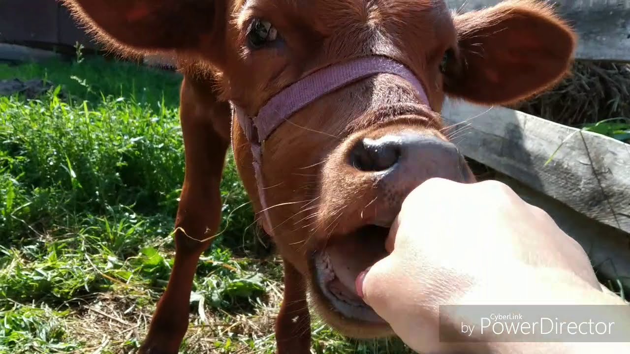 Заброшенные деревни в башкирии .......