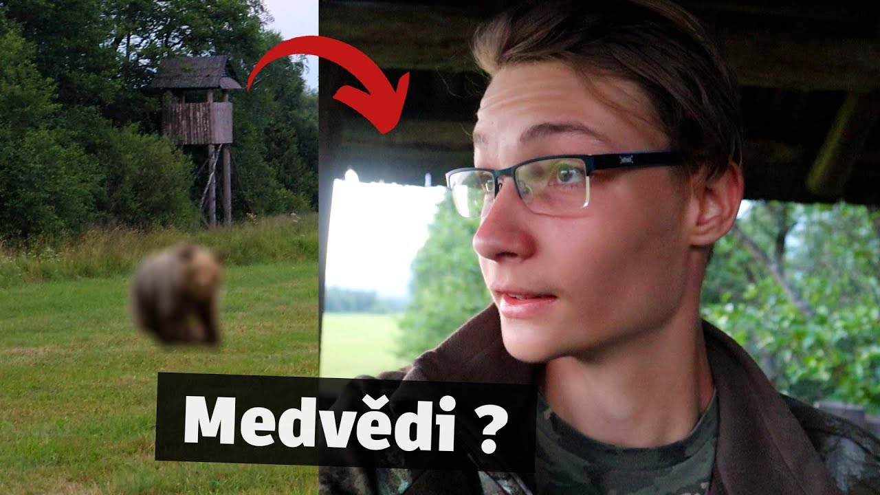Viděli jsme medvědy v Tatrách? | Vlog z Tater #3