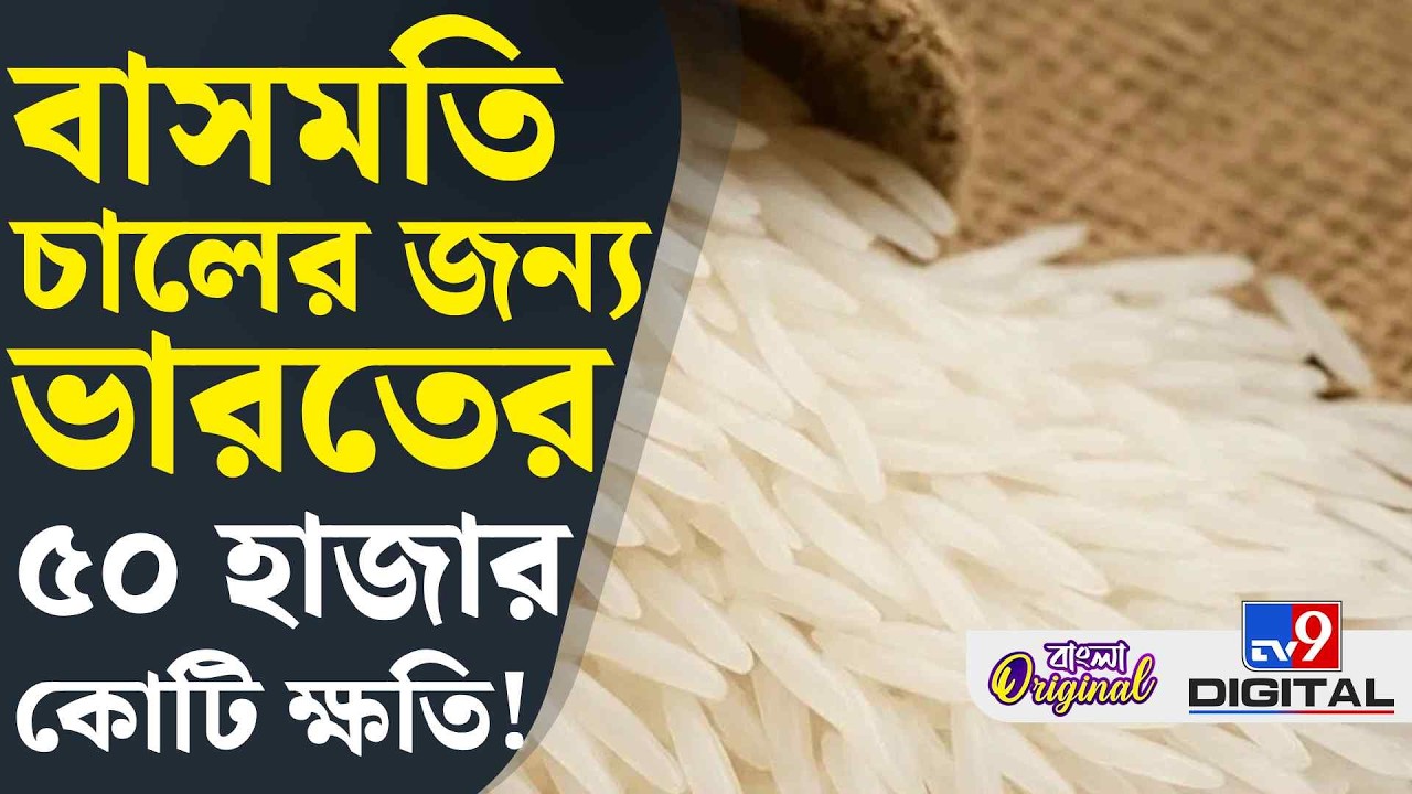 Basmati Rice Trade: বাসমতি চালের দাম বাড়বে না কমবে? | #TV9D