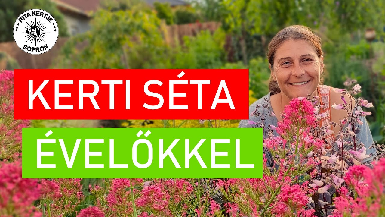 Kerti séta évelőkkel