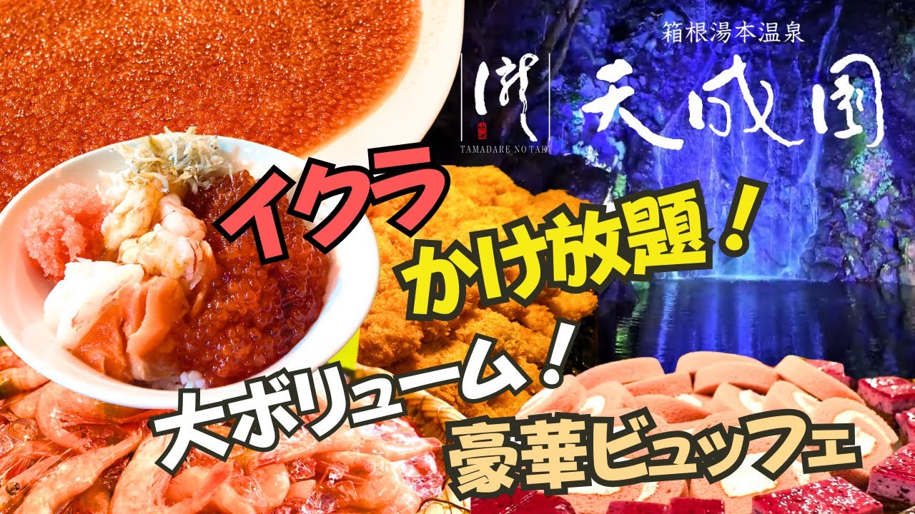 【いくらかけ放題の海鮮丼】箱根 天成園で大ボリュームのビュッフェを堪能！源泉かけ流しの温泉に滝や神社がある庭園で全身癒されるお宿