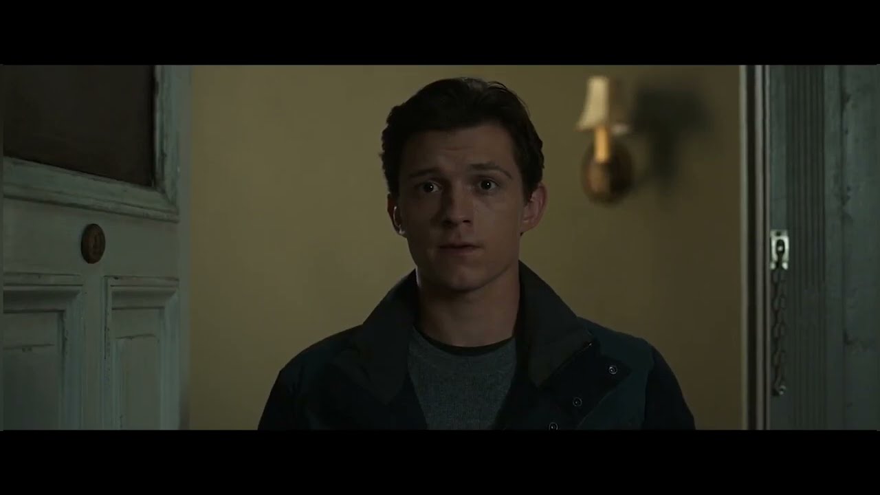 Spider-man No Way Home Ending with Vindicated